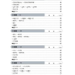 Sách 45 Ngày Củng Cố Kiến Thức Nền Tảng JLPT N2 – Ngữ Pháp