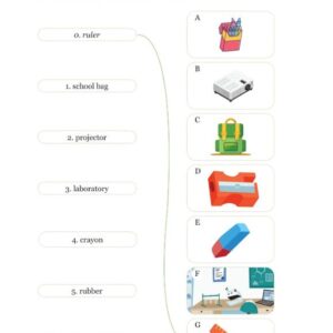 Mind Map Từ Vựng Tiếng Anh Cho Học Sinh Trung Học Cơ Sở