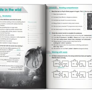 Sách Academy Stars Workbook 6