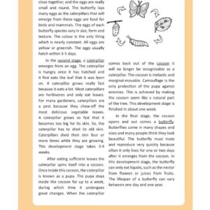 Sách IELTS – The Ultimate Guide to Academic Reading