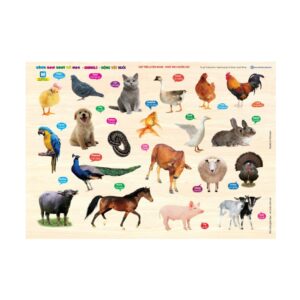 Sách Cùng con chơi và học – Domestic Animals – Động vật nuôi