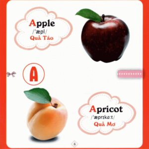 Cuốn sách đầu tiên cho bé ABC- song ngữ Anh Việt