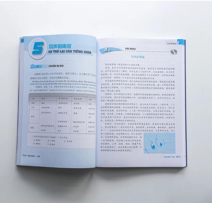 Sách Giáo Trình Hán Ngữ Boya Trung Cấp II – Tập 1