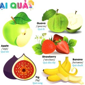 Sách Từ điển Tiếng Anh bằng hình chủ đề hoa, rau, củ, quả