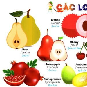 Sách Từ điển Tiếng Anh bằng hình chủ đề hoa, rau, củ, quả