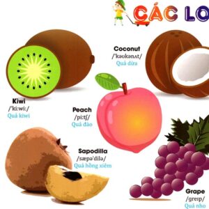 Sách Từ điển Tiếng Anh bằng hình chủ đề hoa, rau, củ, quả