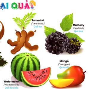 Sách Từ điển Tiếng Anh bằng hình chủ đề hoa, rau, củ, quả