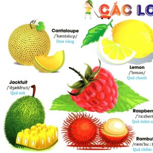 Sách Từ điển Tiếng Anh bằng hình chủ đề hoa, rau, củ, quả