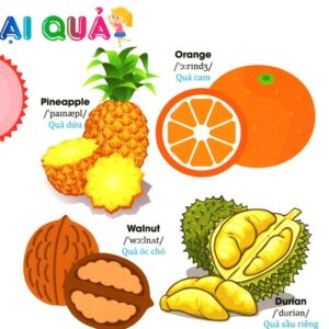 Sách Từ điển Tiếng Anh bằng hình chủ đề hoa, rau, củ, quả